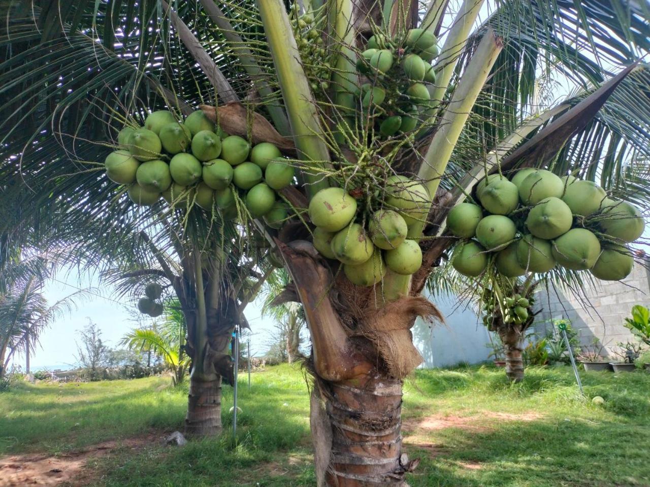 Bien Ngoc Homstay Phan Thiet Bagian luar foto