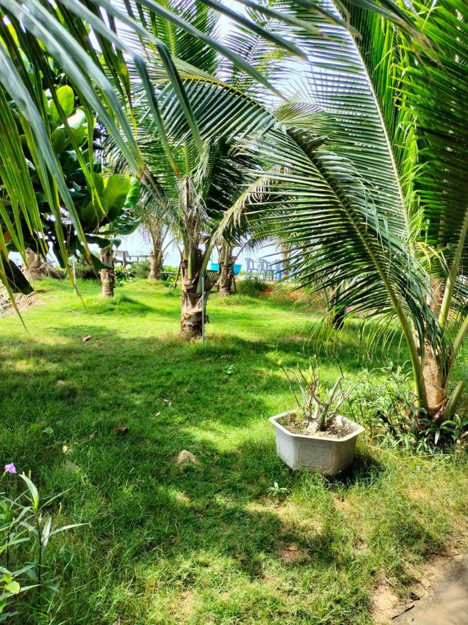Bien Ngoc Homstay Phan Thiet Bagian luar foto
