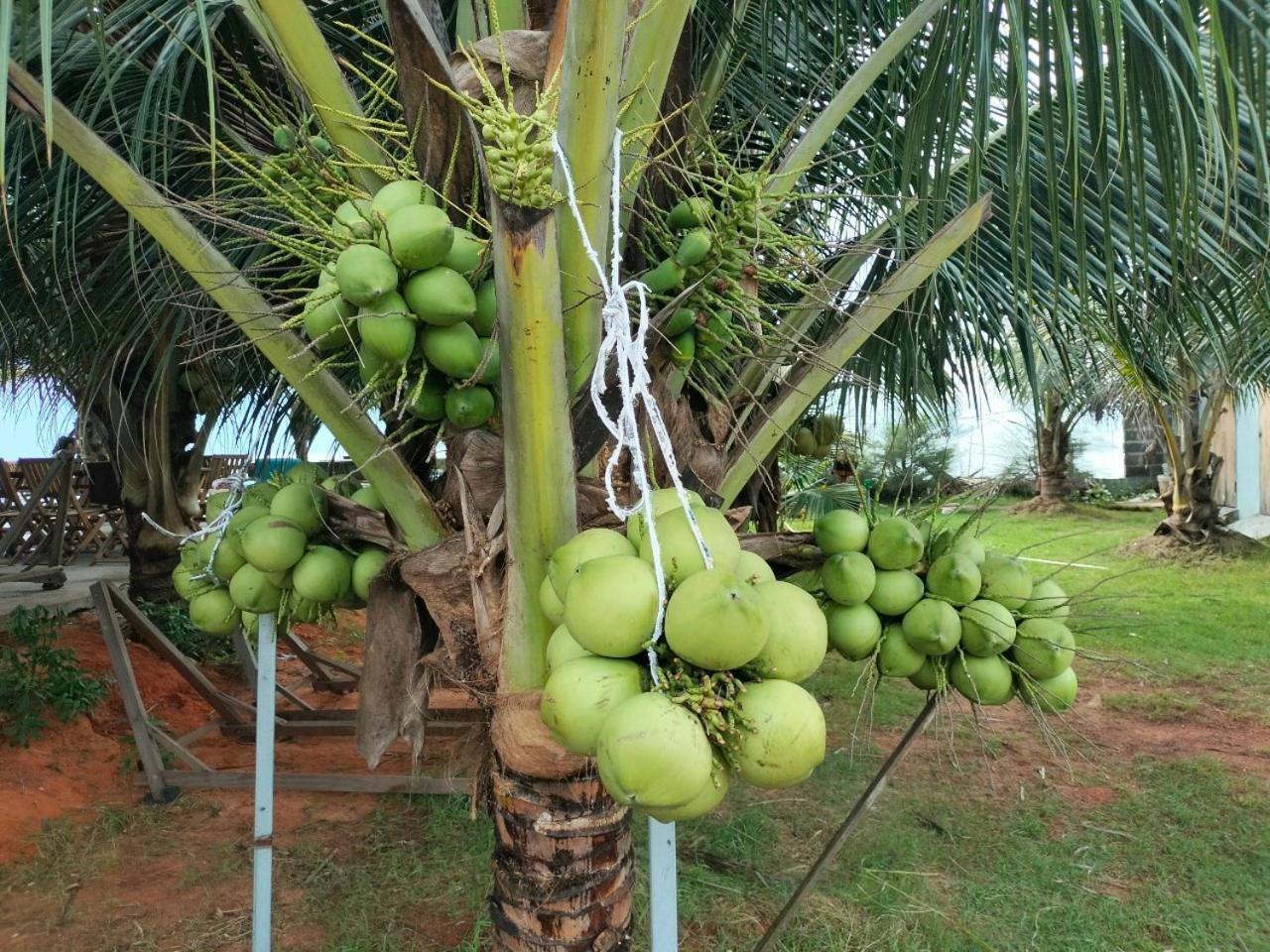 Bien Ngoc Homstay Phan Thiet Ruang foto
